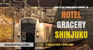 Narita Airport to Hotel Gracery Shinjuku: Easy Transport Guide