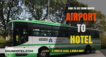Easiest Ways to Travel from Narita Airport to Your Hotel