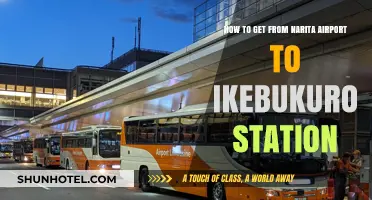 Narita Airport to Ikebukuro Station: Easy Transport Guide
