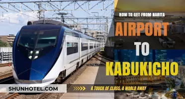 Narita Airport to Kabukicho: Easy Transport Guide for Travelers