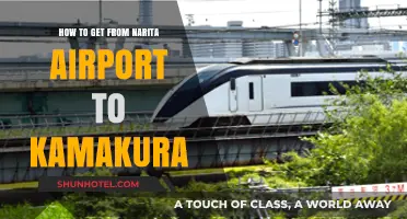 Travel Guide: Narita Airport to Kamakura – Easy Transport Options