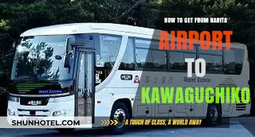 Narita Airport to Kawaguchiko: Easy Transport Guide for Travelers