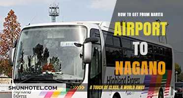 Narita Airport to Nagano: Efficient Travel Tips and Transport Options