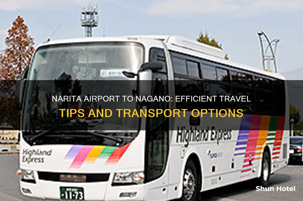 how to get from narita airport to nagano
