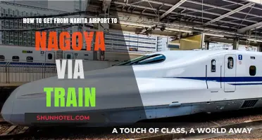Narita to Nagoya: Efficient Train Travel Guide for Visitors