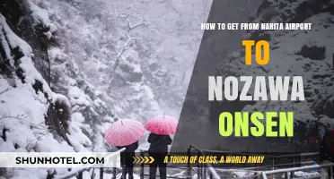 Narita to Nozawa Onsen: Efficient Travel Guide for Skiers and Tourists