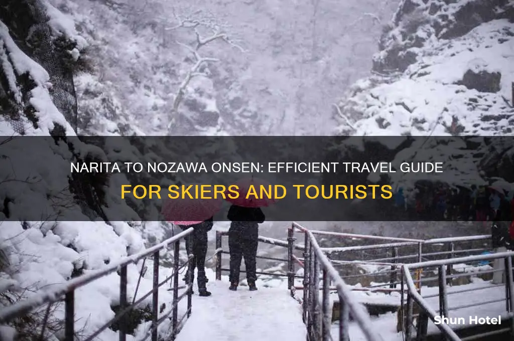 how to get from narita airport to nozawa onsen