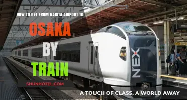 Narita Airport to Osaka: Easy Train Travel Guide