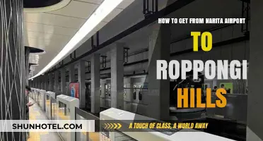 Narita Airport to Roppongi Hills: Easy Transport Guide for Travelers