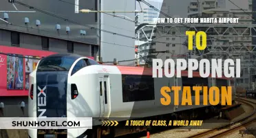 Narita Airport to Roppongi Station: Easy Transport Guide