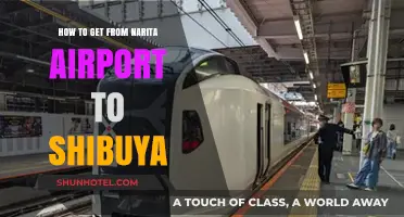 Narita to Shibuya: Easy Transport Options for Tokyo Travelers
