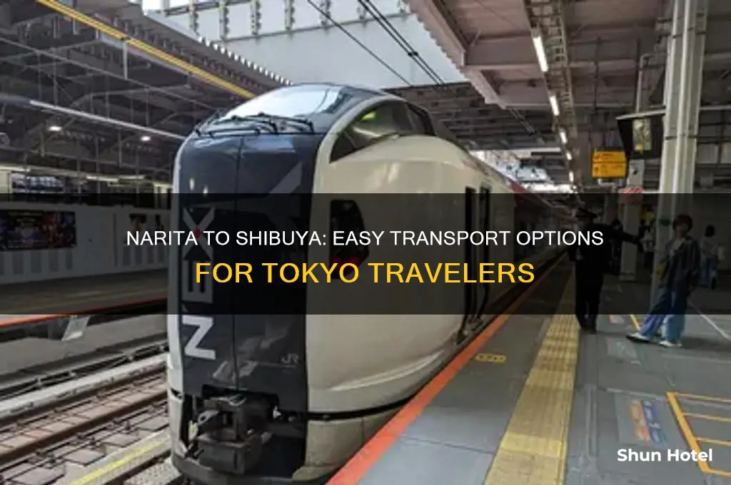 how to get from narita airport to shibuya