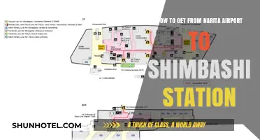 Narita Airport to Shimbashi Station: Quick & Easy Transport Guide