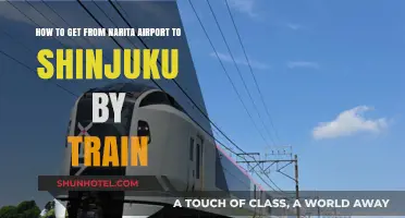 Narita Airport to Shinjuku: Easy Train Travel Guide