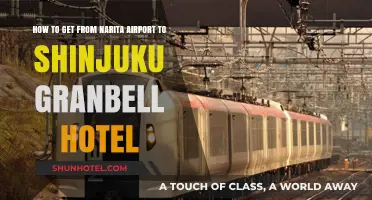 Narita Airport to Shinjuku Granbell Hotel: Easy Transportation Guide