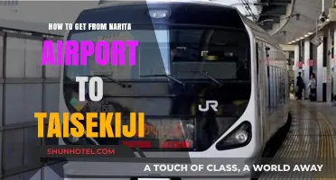 Travel Guide: Narita Airport to Taisekiji Temple – Easy Transport Tips