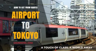 Narita Airport to Tokyo: Easy Transport Options & Travel Tips