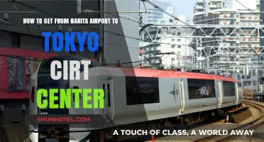 Narita Airport to Tokyo City Center: Easy Transport Options