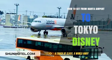 Narita Airport to Tokyo Disney: Easy Transport Options & Tips