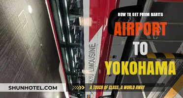 Narita Airport to Yokohama: Easy Transport Options and Travel Tips
