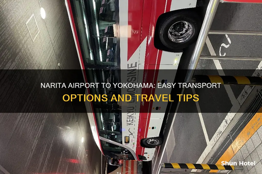 how to get from narita airport to yokohama