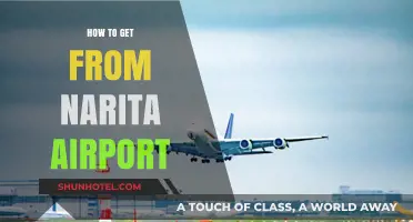 Efficient Travel Tips: Getting from Narita Airport to Tokyo