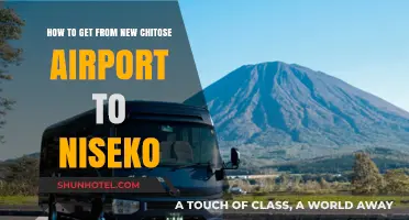Travel Guide: New Chitose Airport to Niseko Transport Options