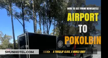 Newcastle Airport to Pokolbin: Easy Transport Options and Travel Tips