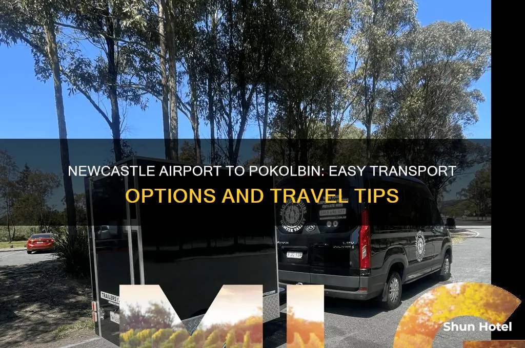 how to get from newcastle airport to pokolbin