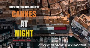 Nighttime Travel Guide: Nice Airport to Cannes Transport Options