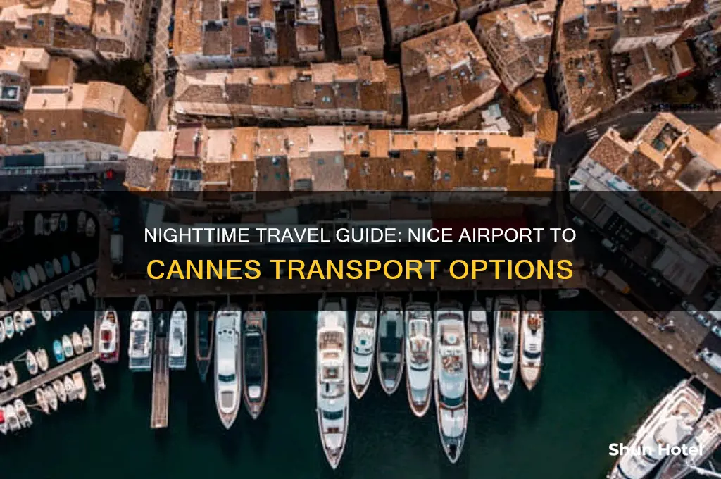 how to get from nice airport to cannes at night
