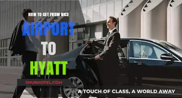 Travel Guide: Nice Airport to Hyatt Regency Seamless Transfer Tips