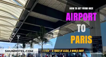 Traveling from Nice Airport to Paris: Easy Transport Options