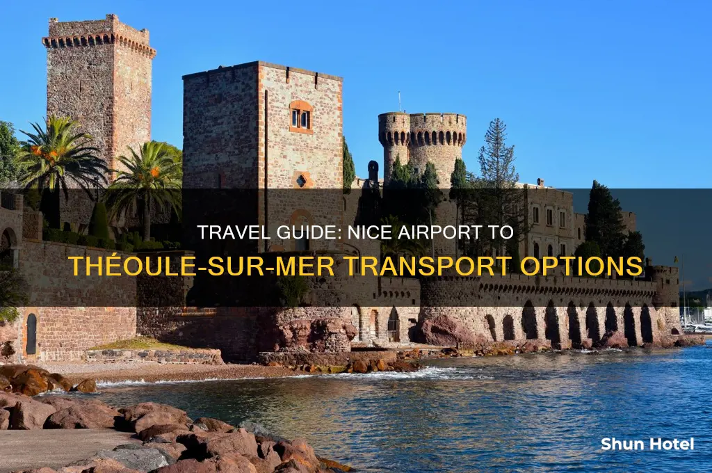 how to get from nice airport to theole-sur-mer