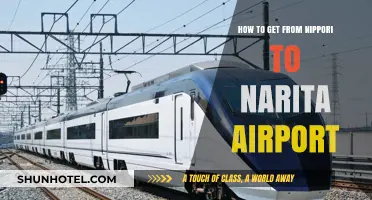 Efficient Travel Guide: Nippori to Narita Airport Transport Options