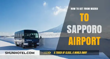 Niseko to Sapporo Airport: Quick, Easy Travel Guide