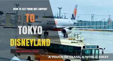 Travel Guide: NRT Airport to Tokyo Disneyland Transport Options