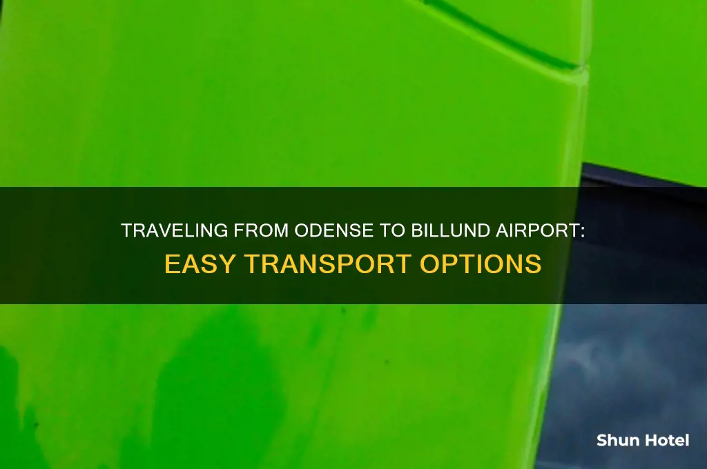 how to get from odense to billund airport