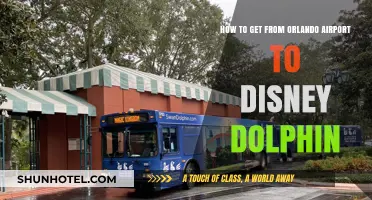 Orlando Airport to Disney Dolphin: Quick & Easy Transportation Tips