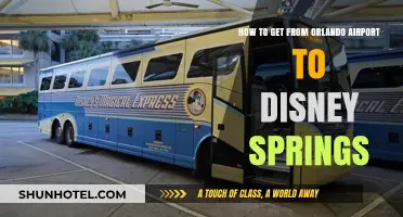 Orlando Airport to Disney Springs: Quick, Easy Transportation Options