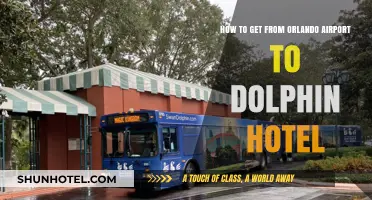 Orlando Airport to Dolphin Hotel: Quick & Easy Transportation Guide