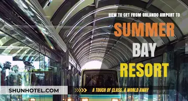 Orlando Airport to Summer Bay Resort: Easy Transportation Options