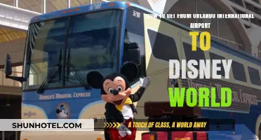 Orlando Airport to Disney World: Easy Transportation Options & Tips