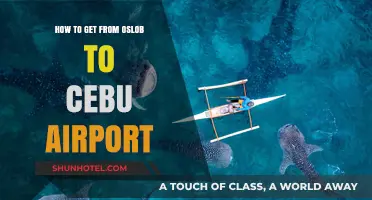 Travel Guide: Oslob to Cebu Airport – Quick & Easy Route