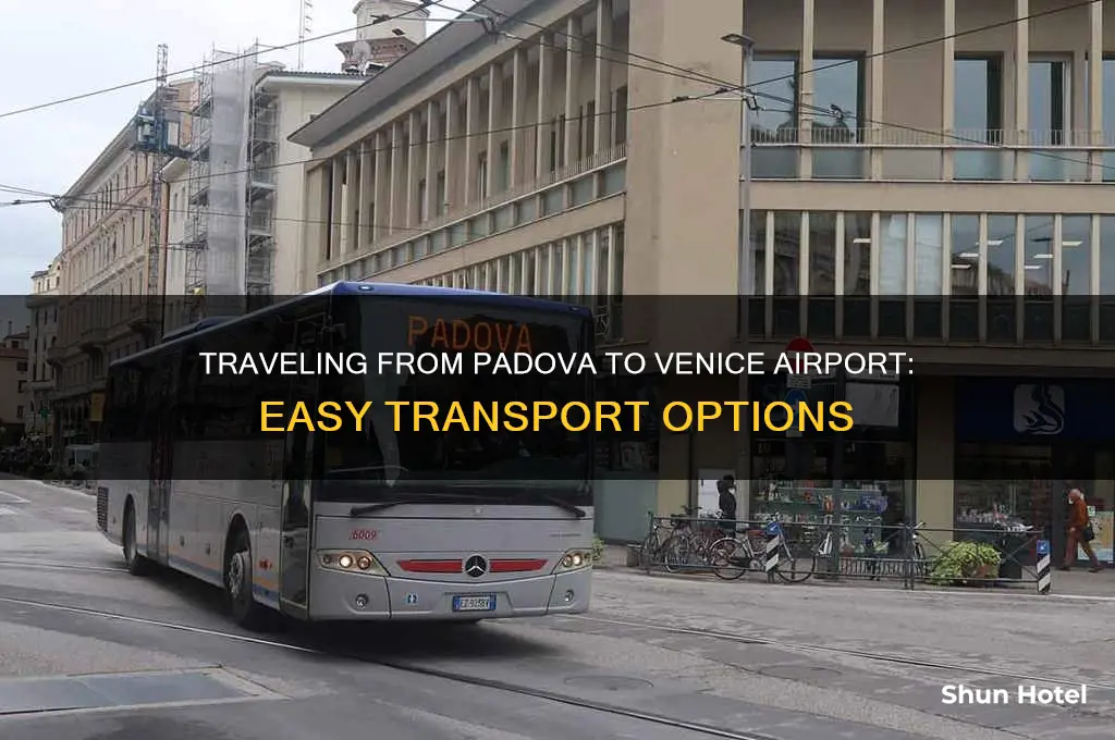 how to get from padova to venice airport