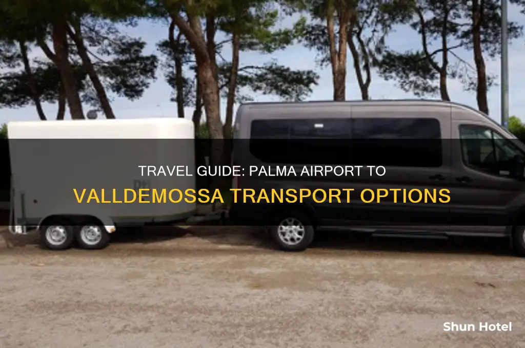 how to get from palma airport to valldemossa