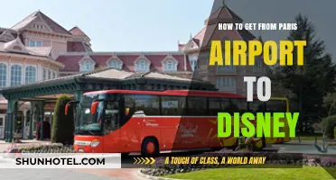 Paris Airport to Disney: Quick, Easy Transport Options Guide