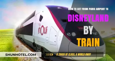 Paris Airport to Disneyland: Easy Train Travel Guide