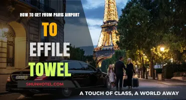 Paris Airport to Eiffel Tower: Quick, Easy, and Affordable Travel Tips