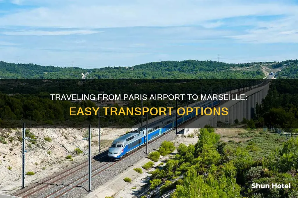 how to get from paris airport to marseille